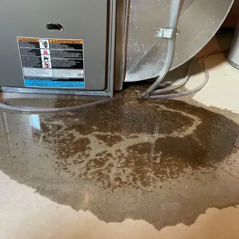 Appliance Leak Cleanup in Sharon, MS